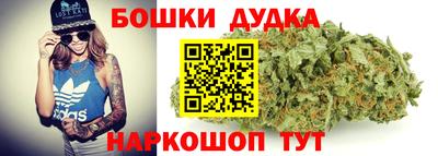 МДПВ Будённовск