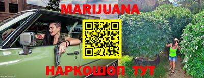 МДПВ Будённовск