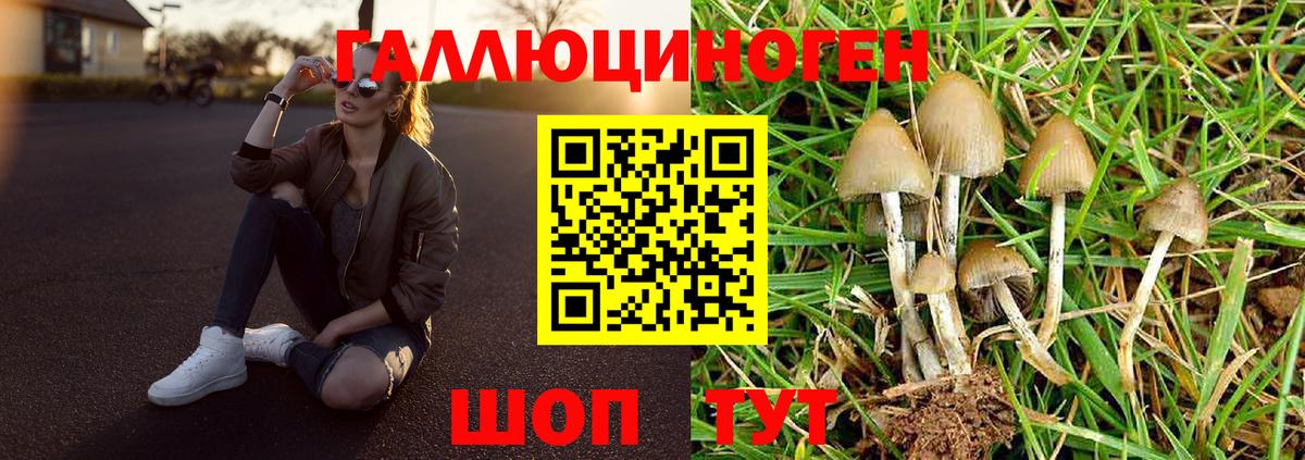 Ставрополь  Галлюциногенные грибы GOLDEN TEACHER  Вход с VPN 
